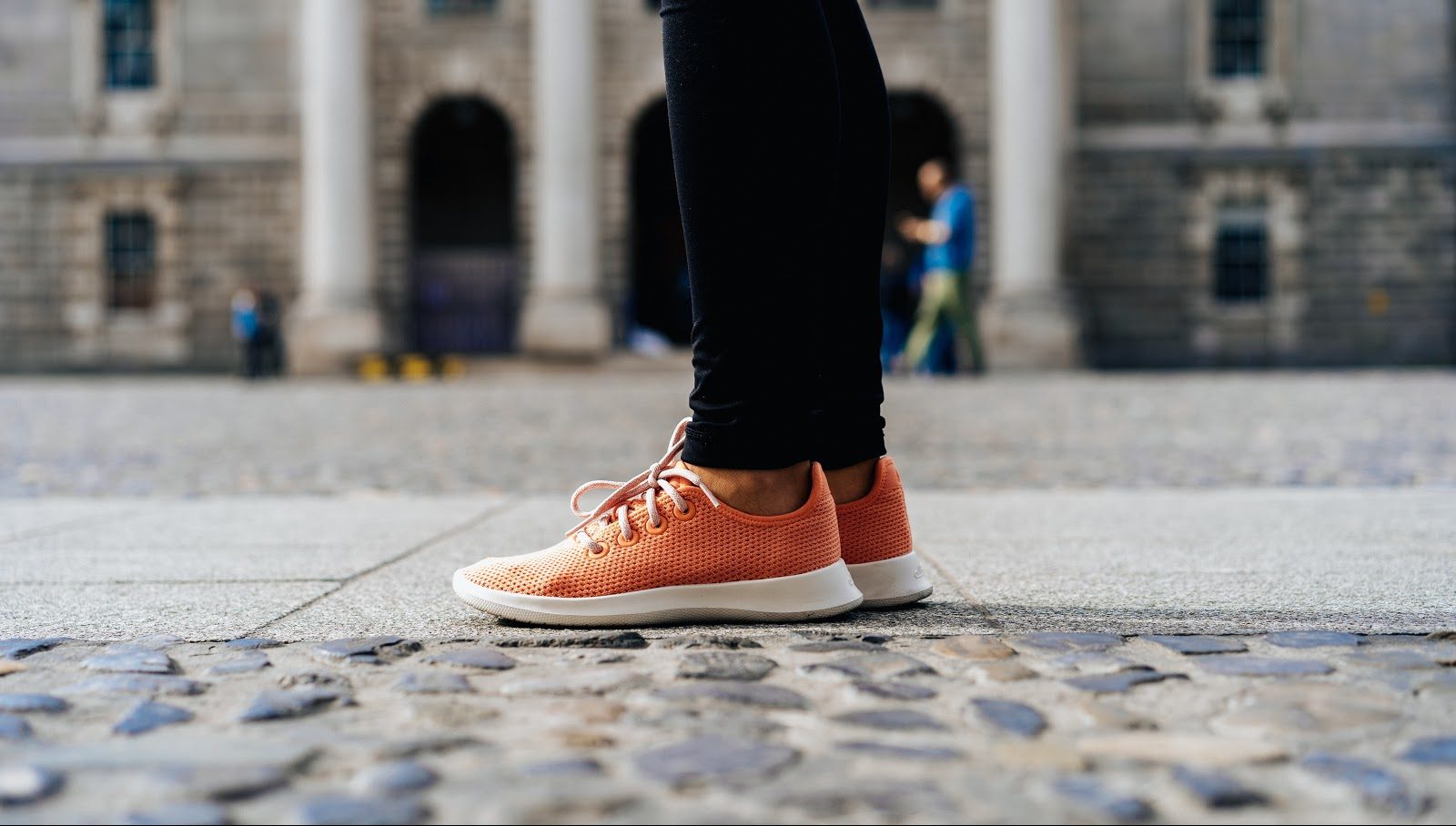 Elevate Your Sole With Allbirds