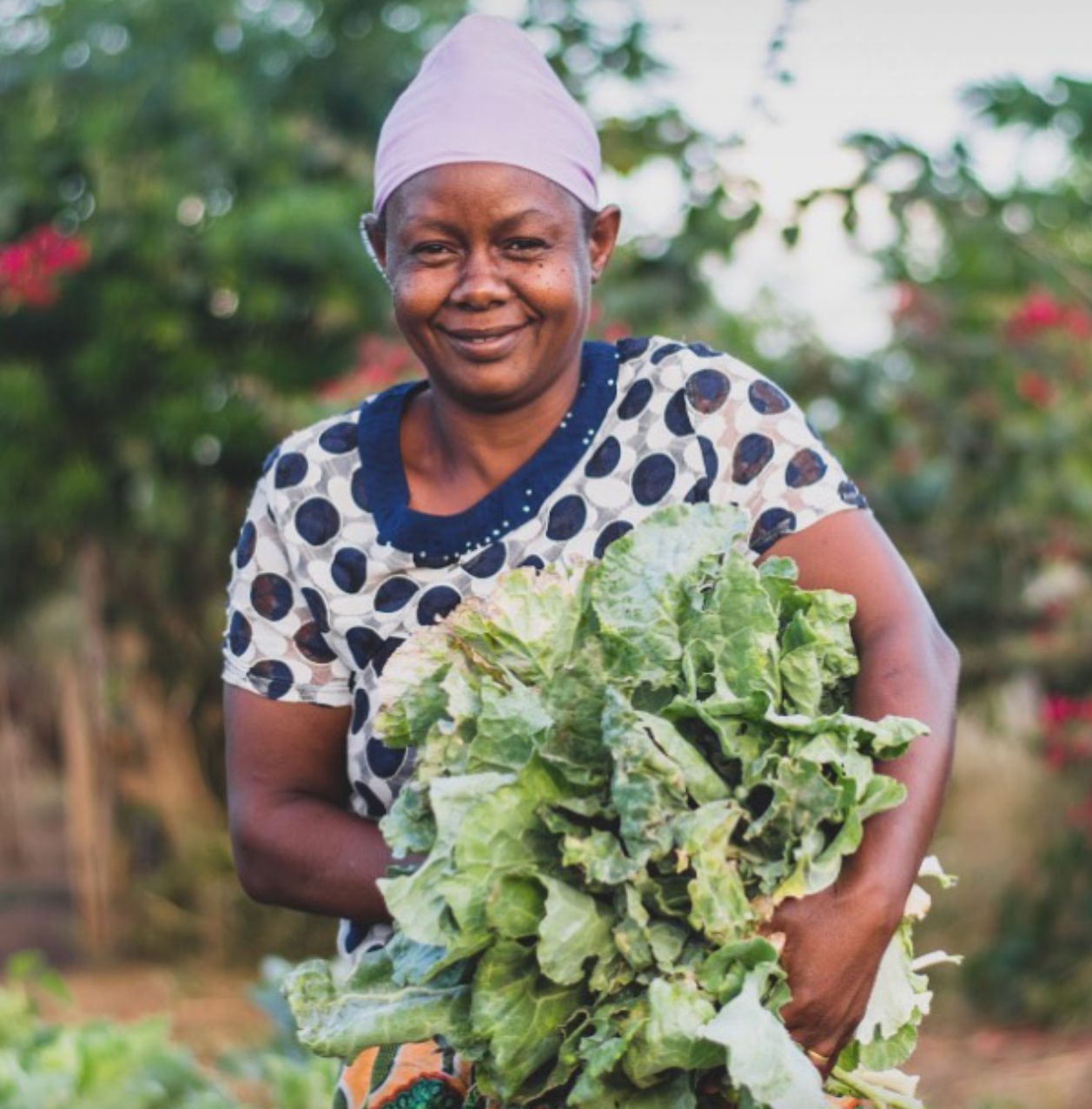 Food Security And National Security